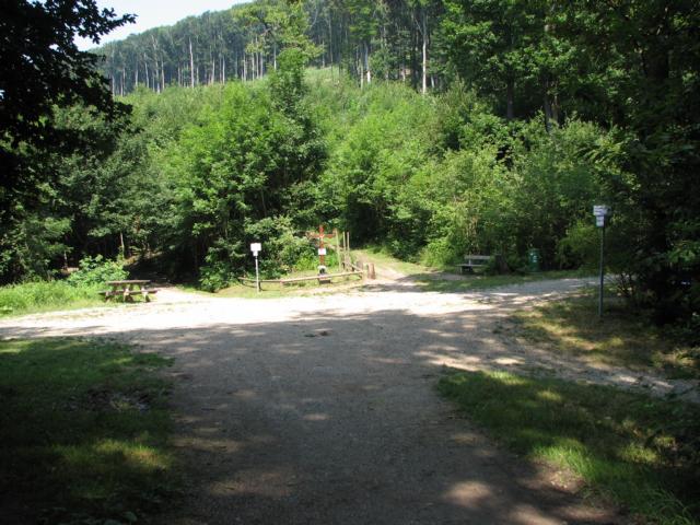Die Kreuzeiche, ein historischer Wegknotenpunkt im Kahlengebirge