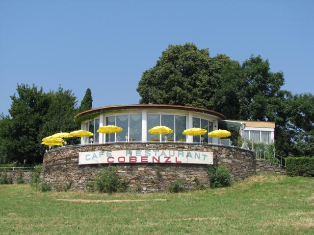 Der Cobenzl, Ausgangspunkt vieler Wanderungen und Spaziergänge