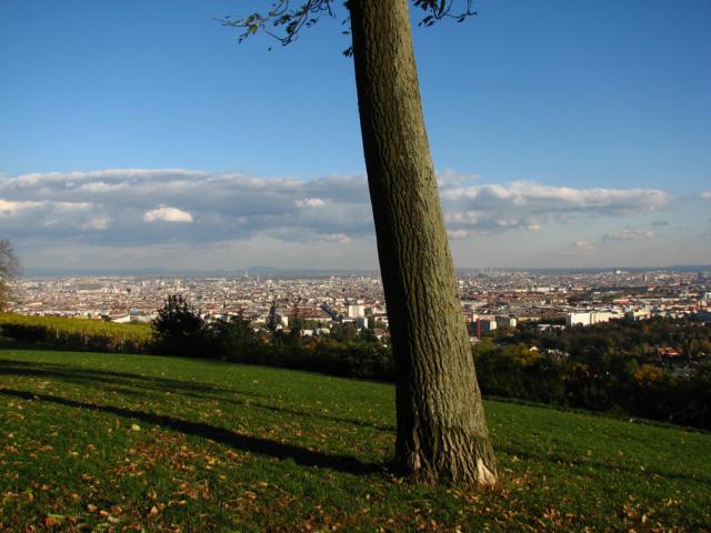 Schlosspark mit Blick über Wien, hier endet der Wienerwald.