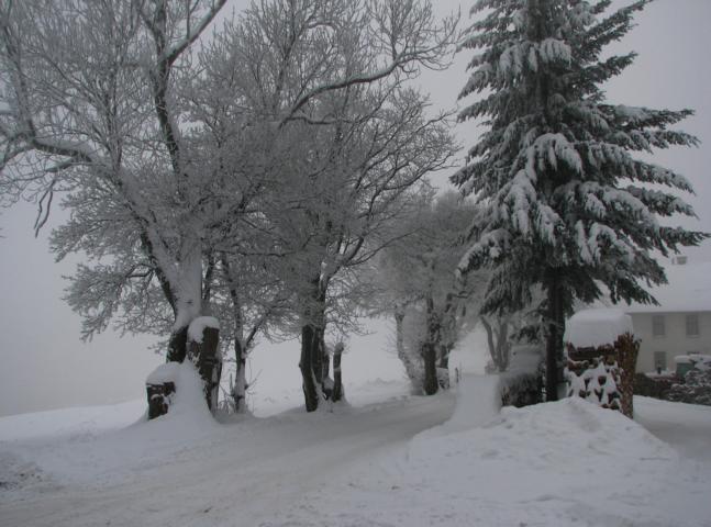 Winterstimmung am Rosskopf (502 m) zwischen Exelberg und Sophienalpe