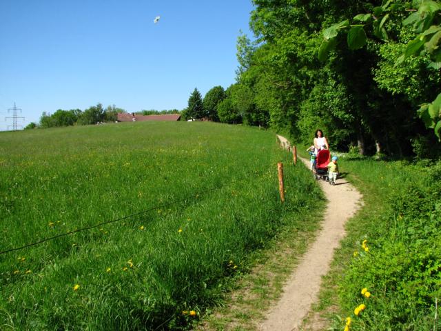 Wandern im Wienerwald
