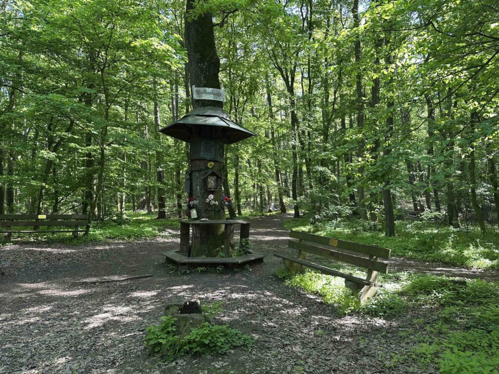 Waldandacht bei Kritzendorf